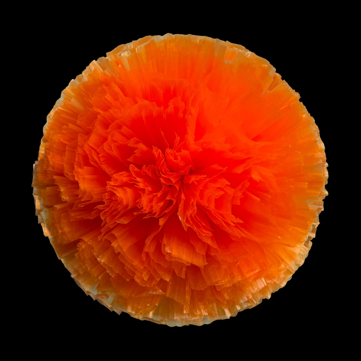 Orange (04)